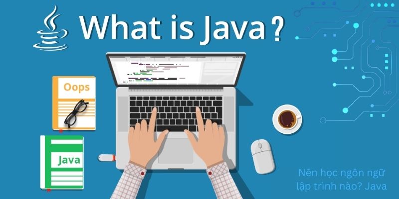 Nên học ngôn ngữ lập trình nào? Java